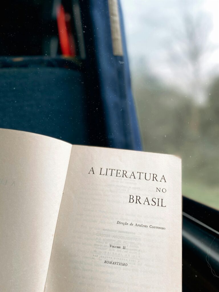 pexels-schena-maria-karlec-885328-8635452-768x1024 O Problema dos Estudos em Literatura Brasileira Hoje