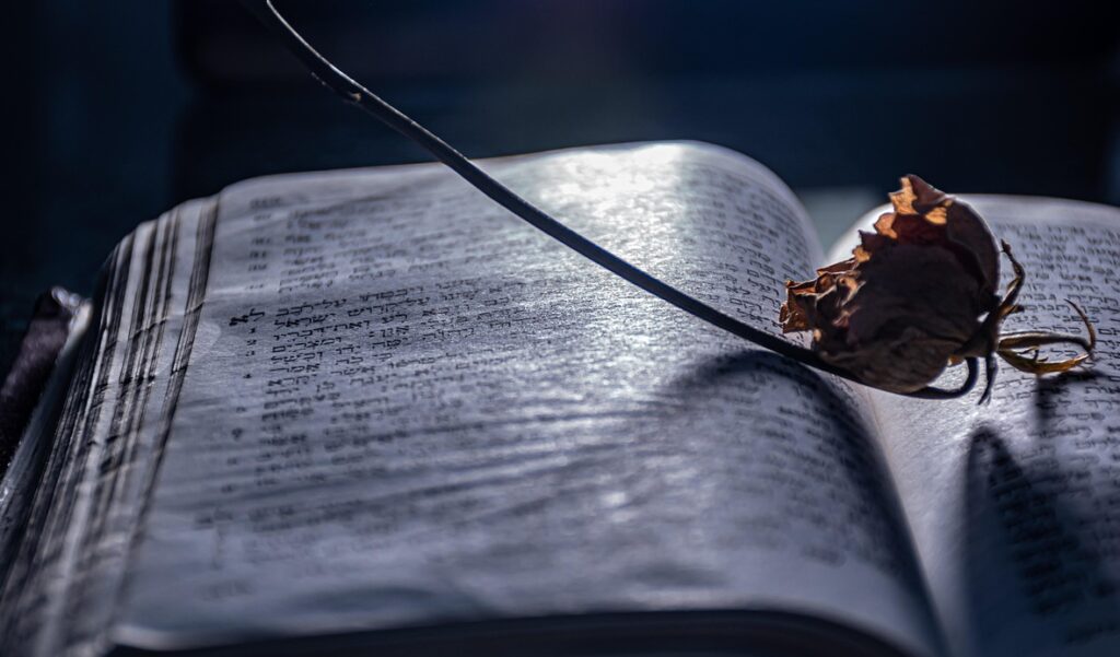 Cânone da literatura brasileira e repetição dos mesmos autores na pesquisa acadêmica